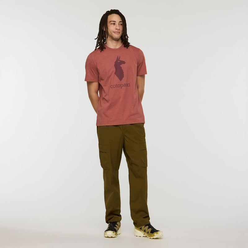 Cotopaxi Llama T-shirt - Mens