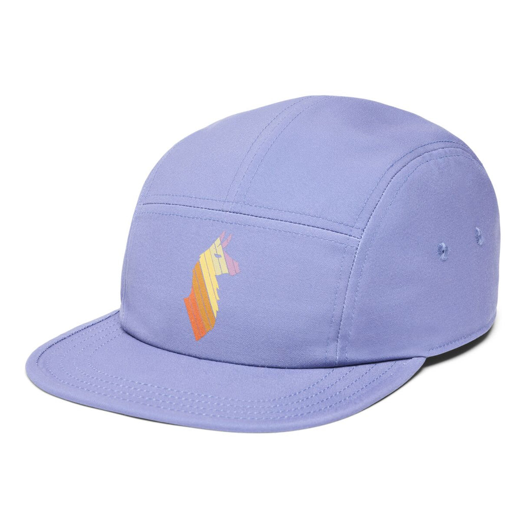 Llama Stripes 5 Panel Hat