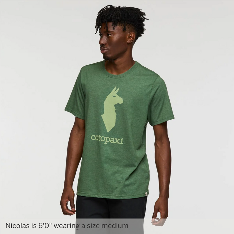 Cotopaxi Llama T-shirt - Mens