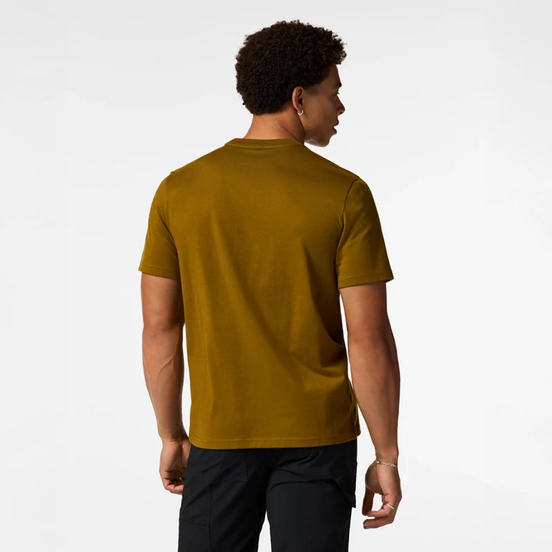 Cotopaxi Mountain T-Shirt - Mens
